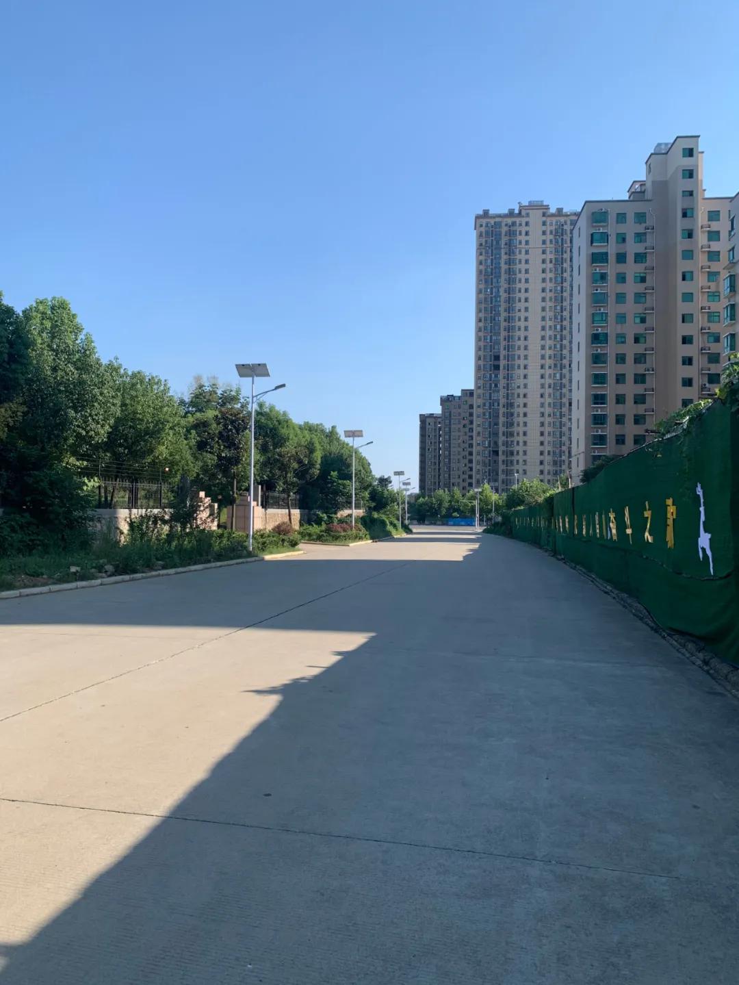 云鵬燈〡九萬(wàn)里風(fēng)安稅駕，云鵬今悔不卑飛