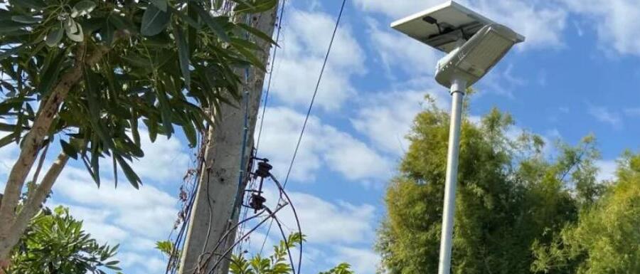 案例賞析〡2022迎新春，源碼項目掀熱潮